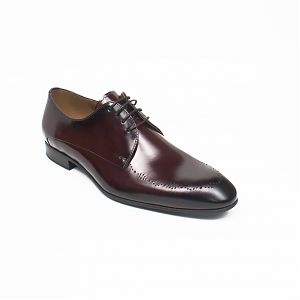 pantofi barbati bordo